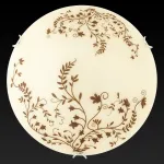 Потолочный светильник TopLight Aldor TL9192Y-02WH 