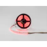 Светодиодная лента 5 в 1 COB, 560 LED/м, 16 Вт/м, 24В , IP20, Цвет: RGBWC, SWG-COB560-24-16-RGBWC от ImperiumLoft