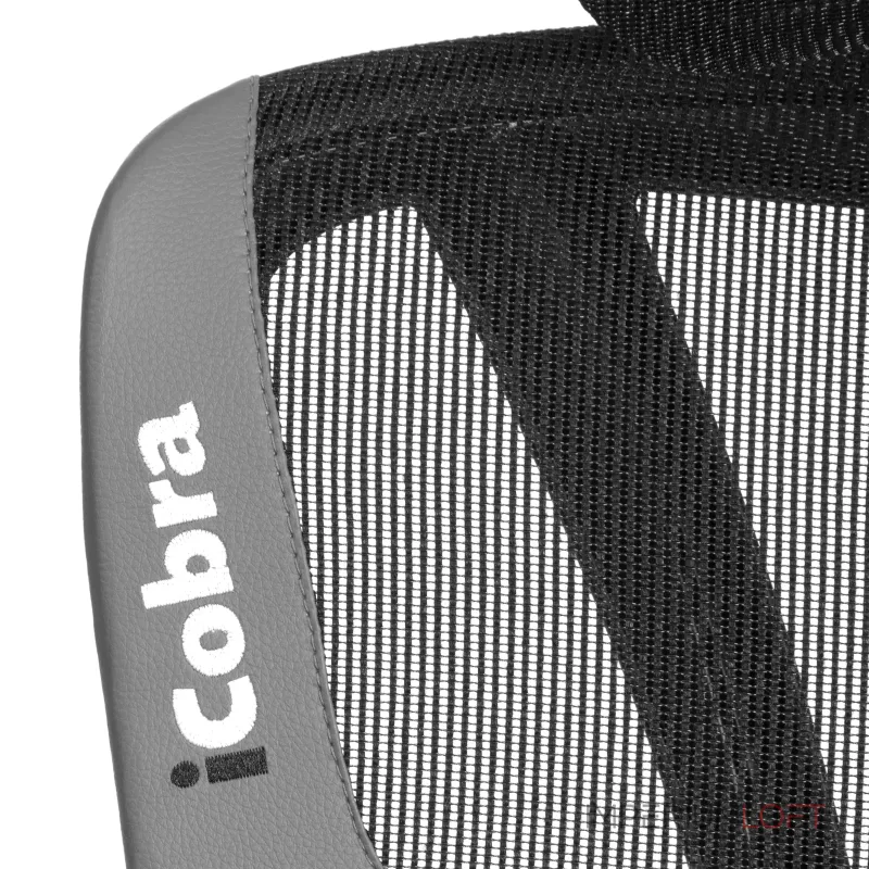 Кресло iCobra TetChair 24848 Кресло iCobra TetChair 24848