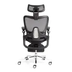 Кресло Sakura TetChair 24859