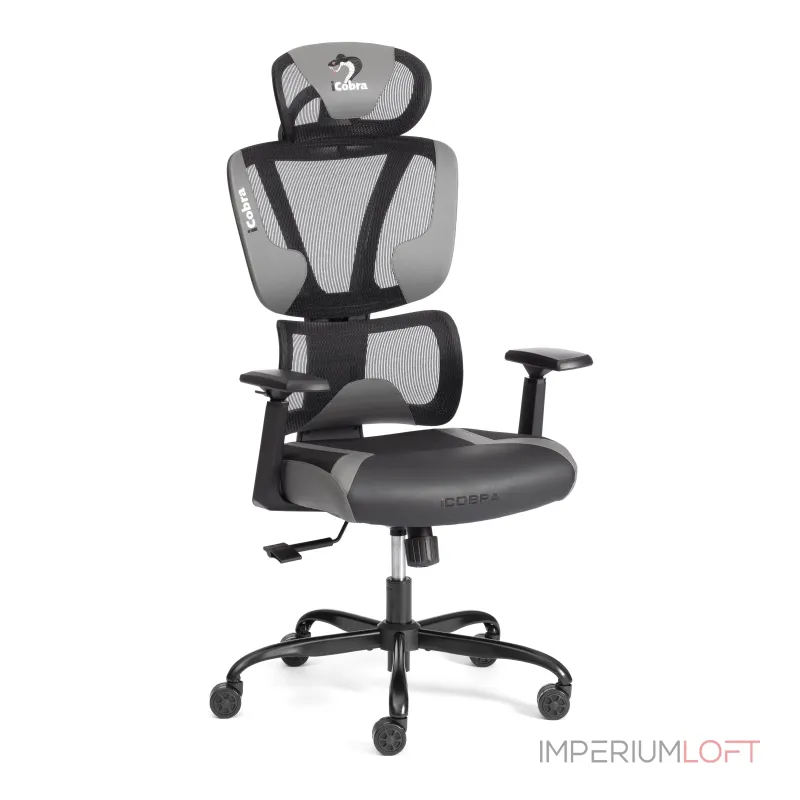 Кресло iCobra TetChair 24848 Кресло iCobra TetChair 24848