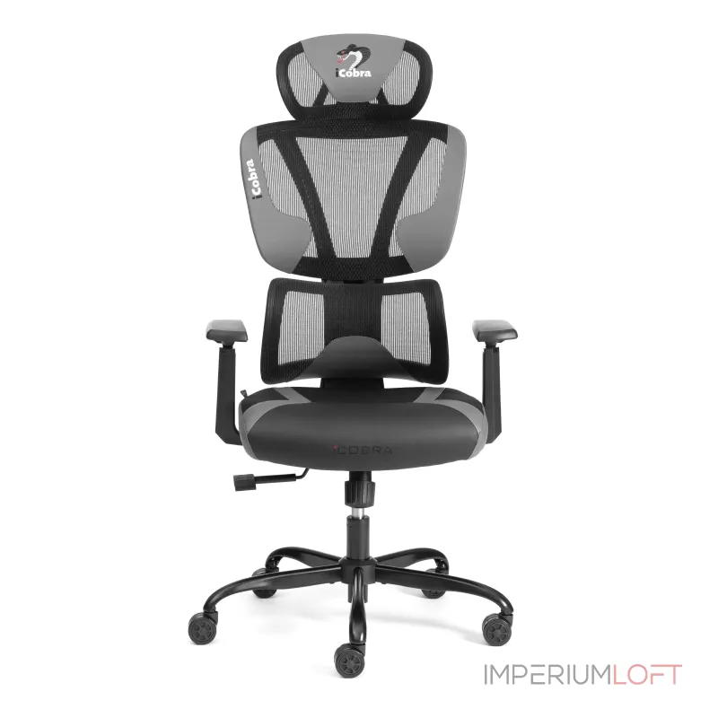 Кресло iCobra TetChair 24848 Кресло iCobra TetChair 24848