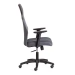 Кресло PRACTIC PLT TetChair 21416