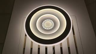 Накладной светильник Lumion Dara