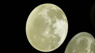 Накладной светильник Sonex Moon 1