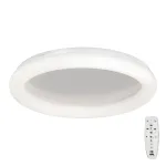 Потолочный светильник VitaLuce V2539DT-0/1PL