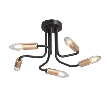 Потолочный светильник VitaLuce V3023-1/5PL Потолочный светильник VitaLuce V3023-1/5PL