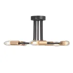 Потолочный светильник VitaLuce V3023-1/5PL