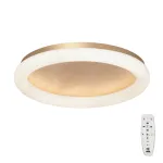 Потолочный светильник VitaLuce V2539DT-8/1PL