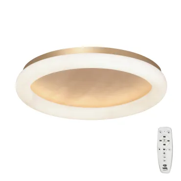 Потолочный светильник VitaLuce V2539DT-8/1PL