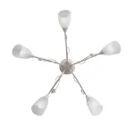 Потолочная люстра VitaLuce V1473/5PL