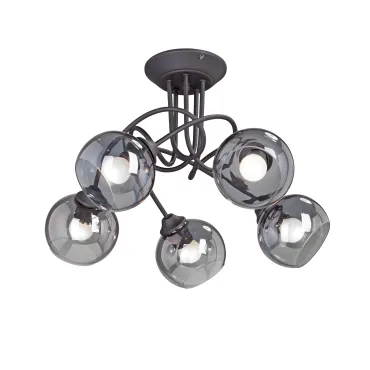 Потолочный светильник VitaLuce V4309-1/5PL Потолочный светильник VitaLuce V4309-1/5PL