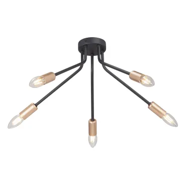 Потолочный светильник VitaLuce V3020-1/5PL