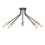 Потолочный светильник VitaLuce V3020-1/5PL