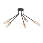 Потолочный светильник VitaLuce V3020-1/5PL