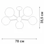 Потолочный светильник VitaLuce V4321/5PL