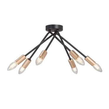 Потолочный светильник VitaLuce V3021-1/6PL Потолочный светильник VitaLuce V3021-1/6PL