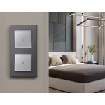 Рамка ALFA Techno (Антрацит серый) 5-ая AF220655 от ImperiumLoft