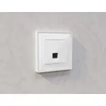 Лицевая панель для компьютерной/телефонной розетки RJ-45/RJ-11 Ambrella Volt ALFA AP1120