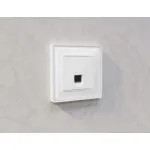 Лицевая панель для компьютерной/телефонной розетки RJ-45/RJ-11 Ambrella Volt ALFA AP1320