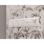 Лицевая панель для электрической розетки с заземлением со шторками 2USB A+A Ambrella Volt ALFA AP2090