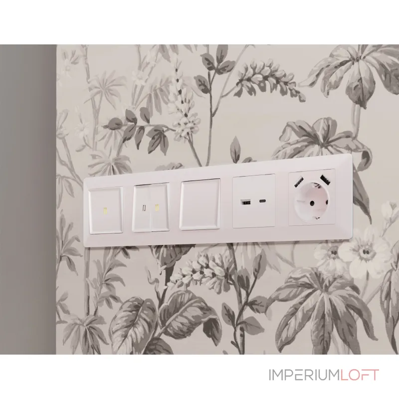 Лицевая панель для розетки 2USB тип A+C Ambrella Volt ALFA AP2110