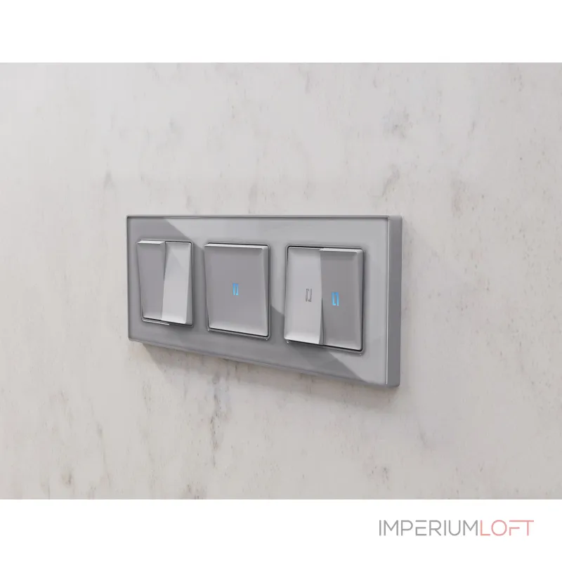 Лицевая панель ALFA (Сталь матовый) для 2-клавишных выключателей QUANT AP5030 от ImperiumLoft