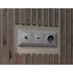 Лицевая панель ALFA (Сталь матовый) для электрической розетки с заземлением и шторками QUANT AP5070 от ImperiumLoft