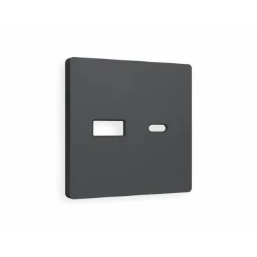 Лицевая панель для розетки 2USB тип A+C Ambrella Volt ALFA AP9110 Лицевая панель для розетки 2USB тип A+C Ambrella Volt ALFA AP9110