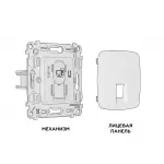Комплект механизма компьютерной розетки OMEGA MO612010 Шампань RJ-45(8P8C) CAT6 с защитной шторкой QUANT от ImperiumLoft