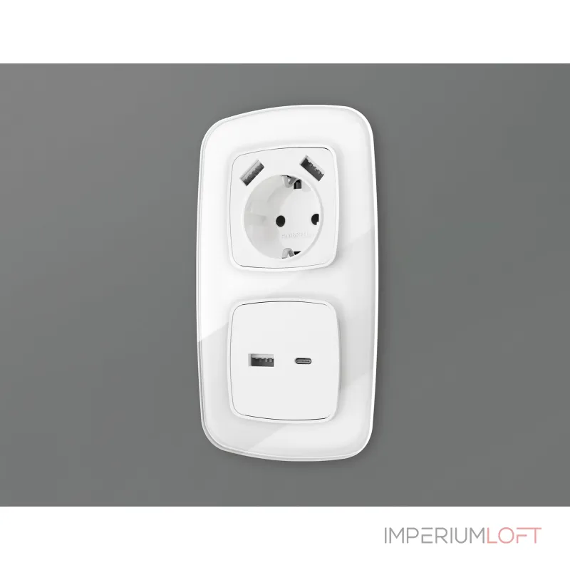Лицевая панель для розетки 2USB тип A+C Ambrella Volt OMEGA OP1110