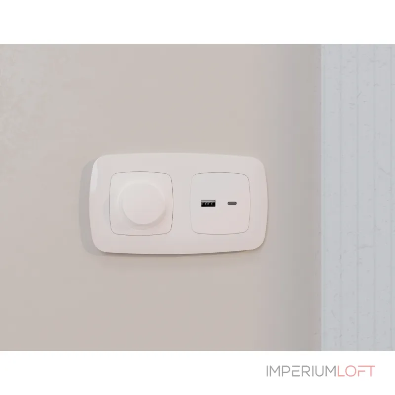 Лицевая панель для розетки 2USB тип A+C Ambrella Volt OMEGA OP2110