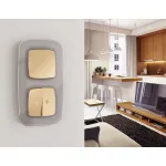 Лицевая панель OMEGA (Шампань) для 1-клавишных выключателей QUANT OP6010 от ImperiumLoft