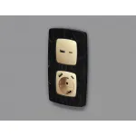Лицевая панель для электрической розетки с заземлением со шторками 2USB A+C Ambrella Volt OMEGA OP6100