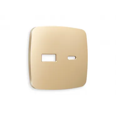 Лицевая панель для розетки 2USB тип A+C Ambrella Volt OMEGA OP6110