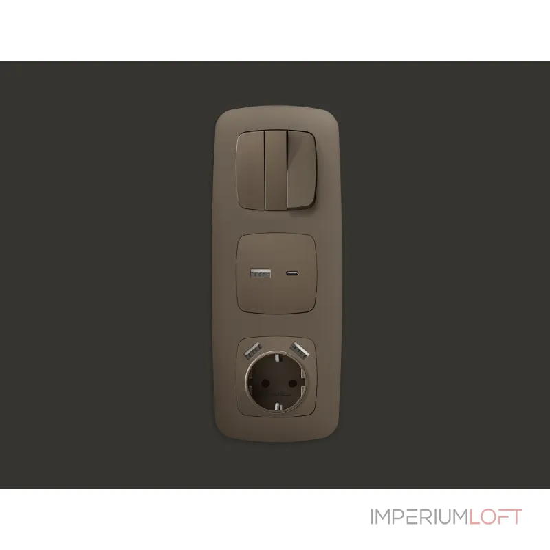 Лицевая панель для розетки 2USB тип A+C Ambrella Volt OMEGA OP6410