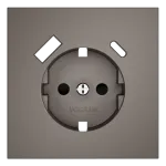 Накладка для розетки с заземлением и защитными шторками с USB A+C S70 (капучино) Voltum VLS001014