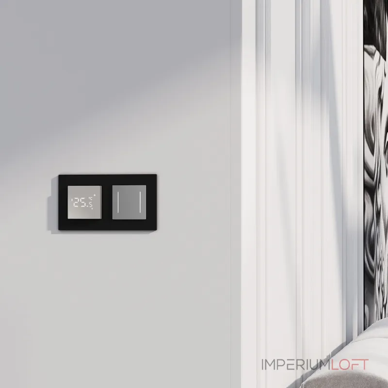 Сенсорный выключатель двухклавишный с подсветкой Werkel a063600 от ImperiumLoft Сенсорный выключатель двухклавишный с подсветкой Werkel a063600 от ImperiumLoft