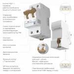 Дифференциальный автомат 1P+N 10 A 30 mА 6 kА C A Werkel W922P254