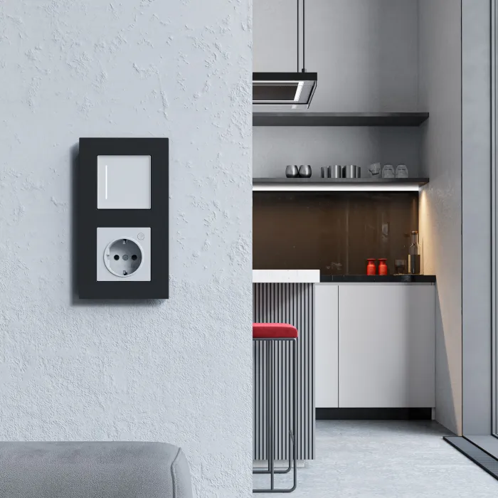 Рамка на 2 поста Slab Werkel a062800 от ImperiumLoft