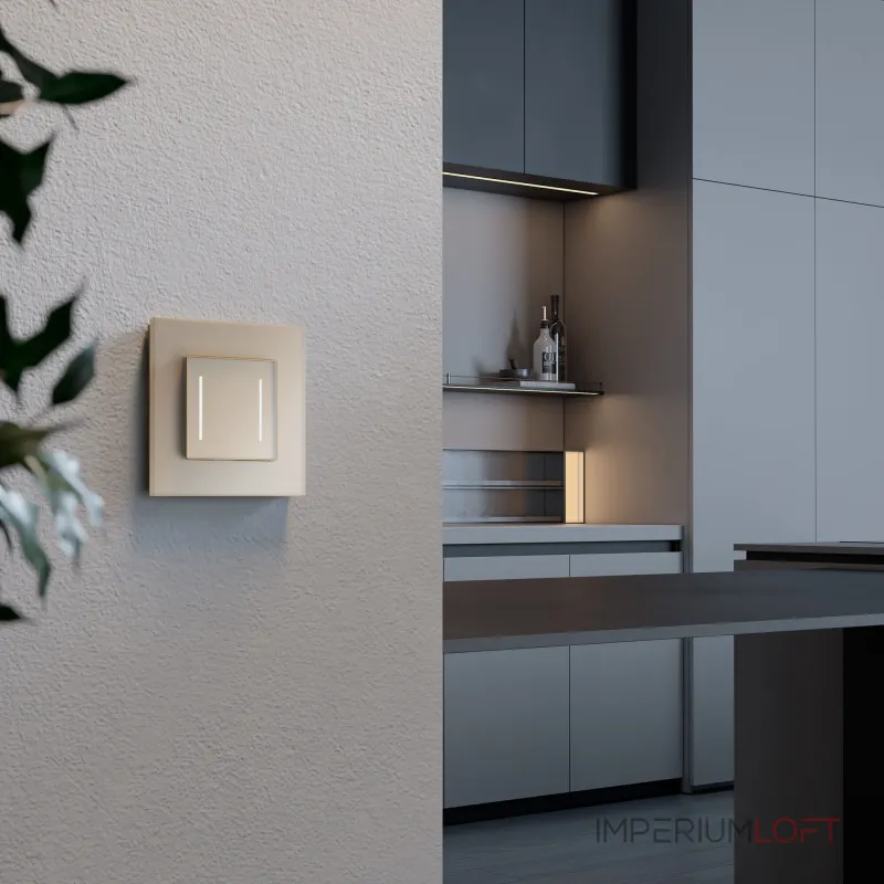 Умный сенсорный выключатель двухклавишный Werkel a064146 от ImperiumLoft Умный сенсорный выключатель двухклавишный Werkel a064146 от ImperiumLoft