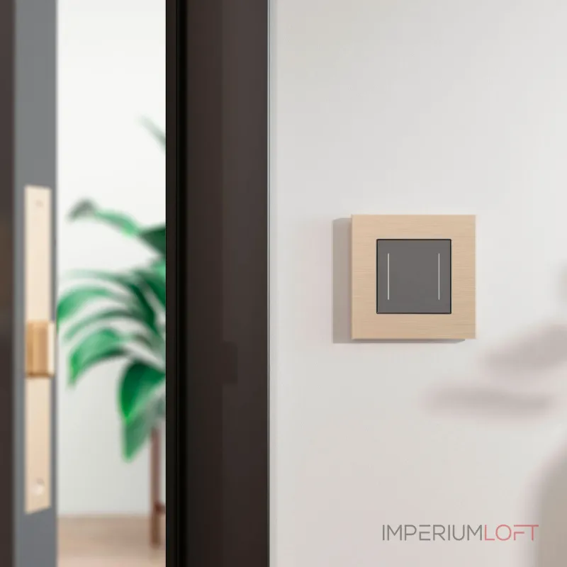 Рамка на 1 пост AluMax Werkel a066333 от ImperiumLoft Рамка на 1 пост AluMax Werkel a066333 от ImperiumLoft