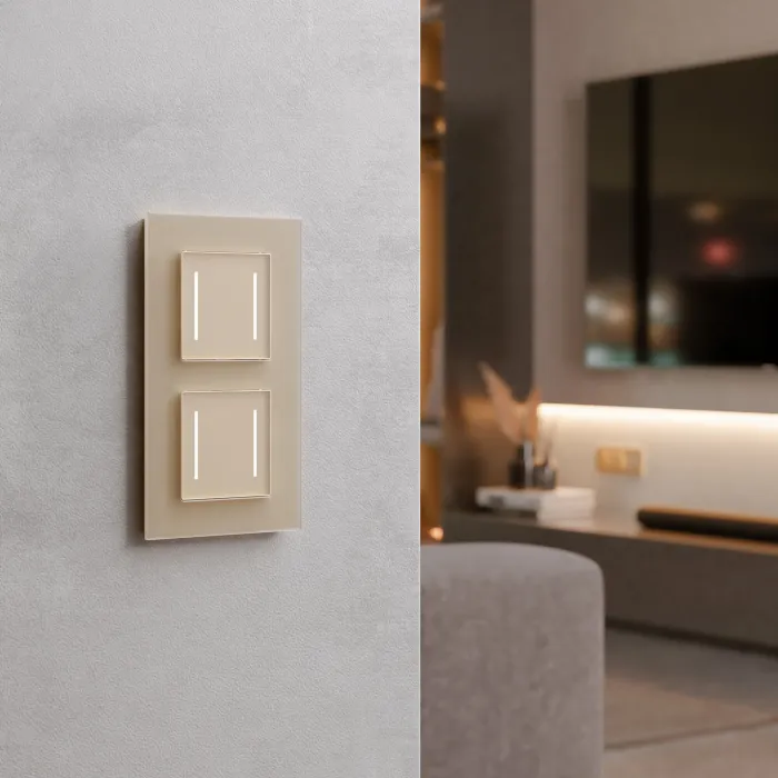 Сенсорный выключатель двухклавишный с подсветкой Werkel a063604 от ImperiumLoft