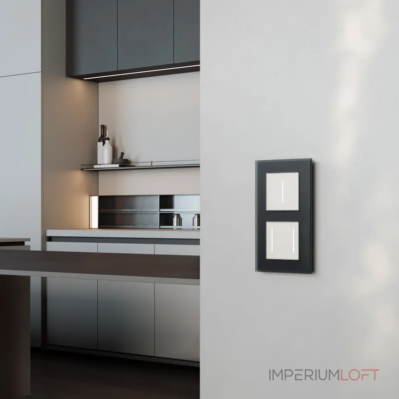 Умный сенсорный диммер Werkel a063593 от ImperiumLoft