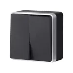 Выключатель двухклавишный Gallant Werkel W5020034