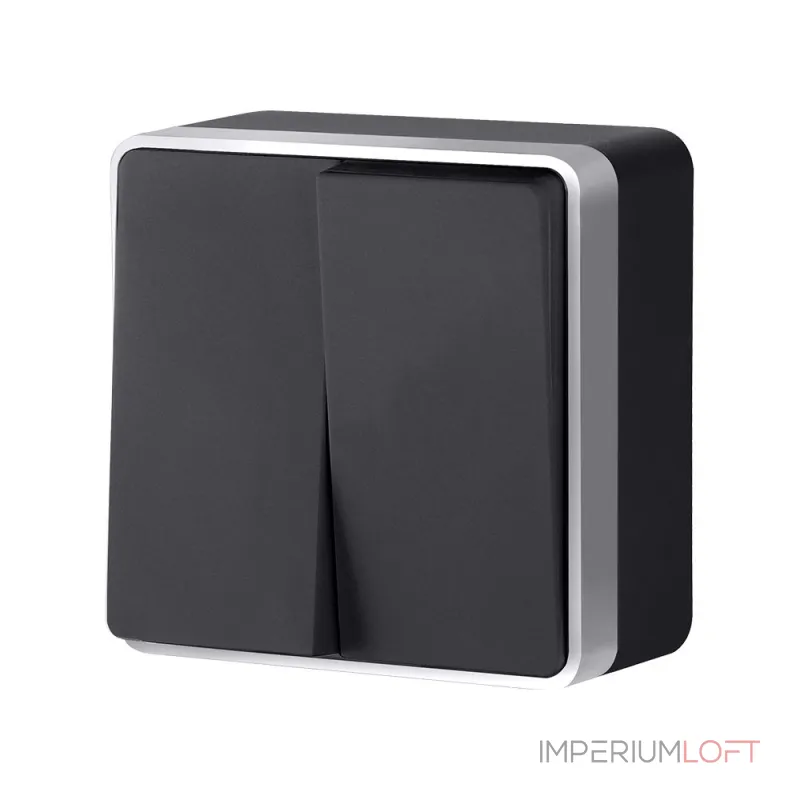 Выключатель двухклавишный Gallant Werkel W5020034