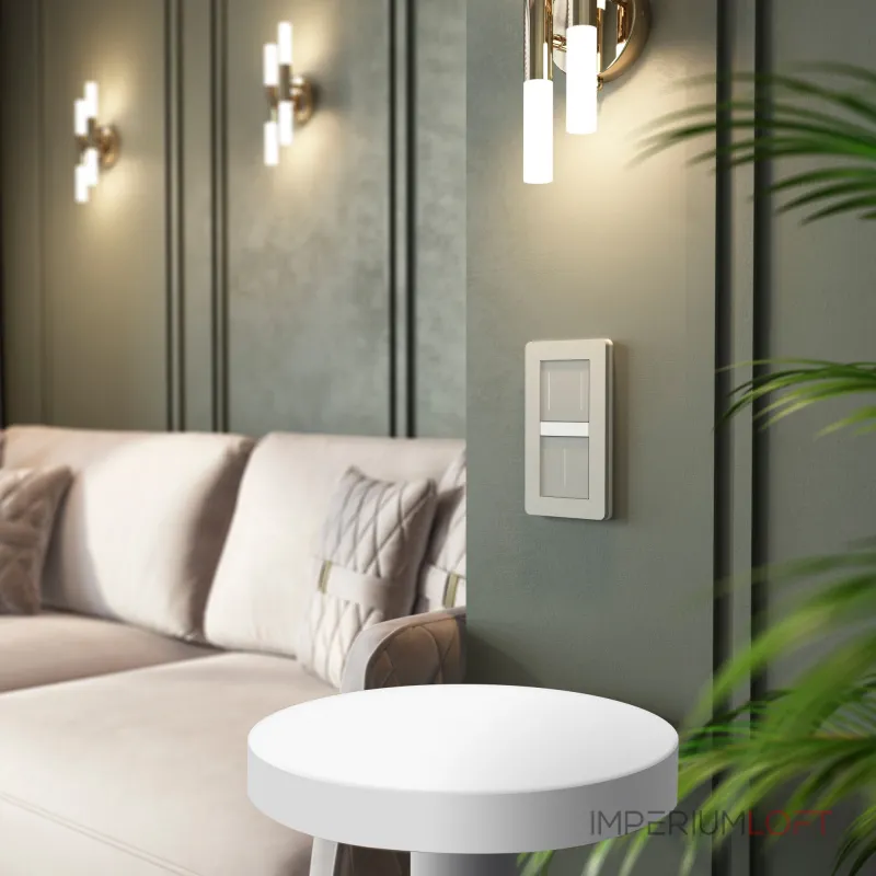 Сенсорный выключатель двухклавишный с подсветкой Werkel a069763 от ImperiumLoft Сенсорный выключатель двухклавишный с подсветкой Werkel a069763 от ImperiumLoft