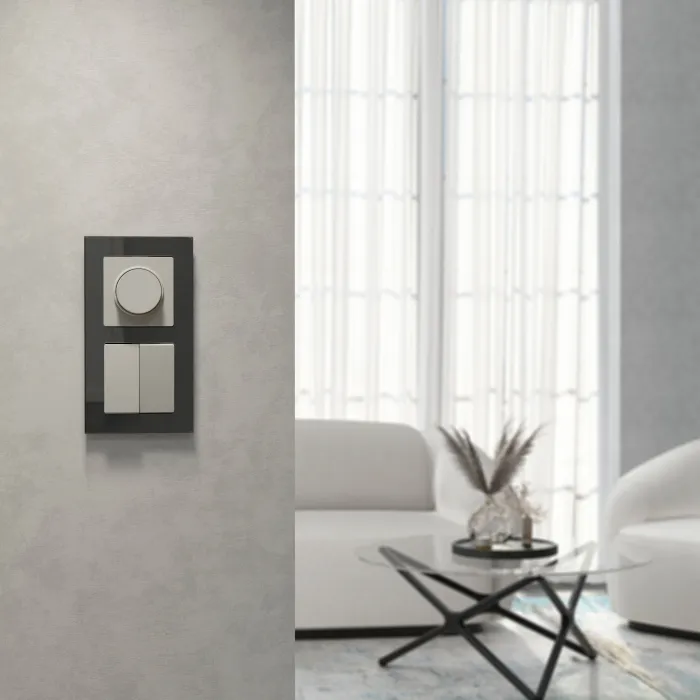 Выключатель двухклавишный Werkel a069452 от ImperiumLoft