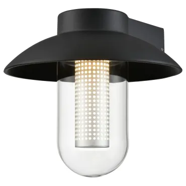Светильник уличный настенный Wertmark WELLA WE936.01.021