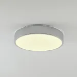 Потолочный светильник Zortes TORTTY ZRS.02565.36, Мощность - 36Вт, Тип лампы: LED SMD2835，Оптолинза RIO